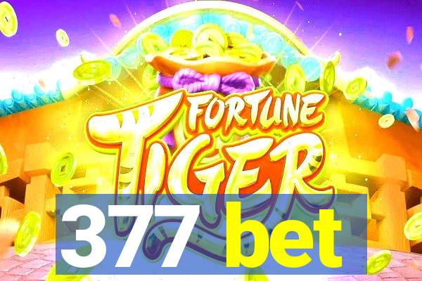 377 bet